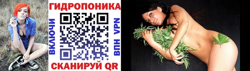 Бошки марихуана White Widow  закладка  Азнакаево 